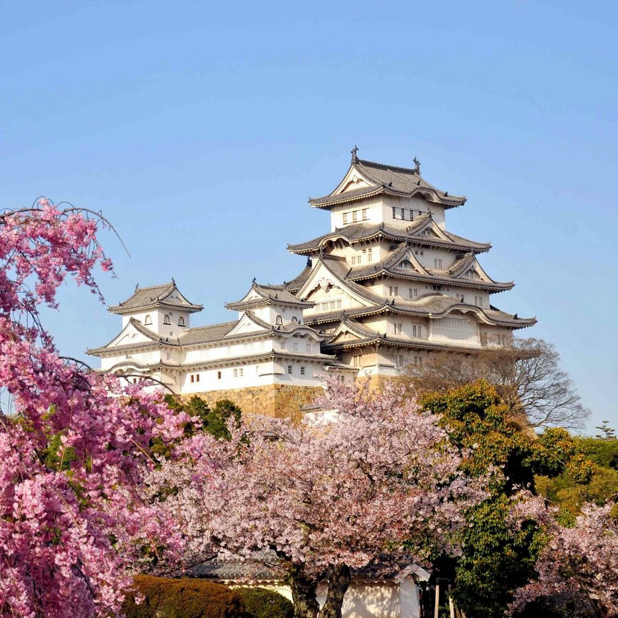 Русские и русское в Японии. Лидия Павловна, последняя могиканка